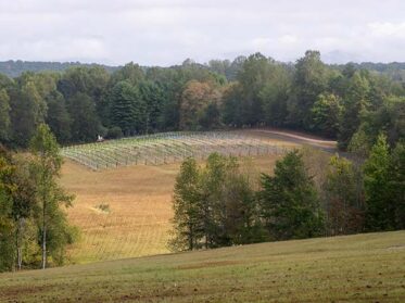 Gallery, Dahlonega Resort and Vineyard